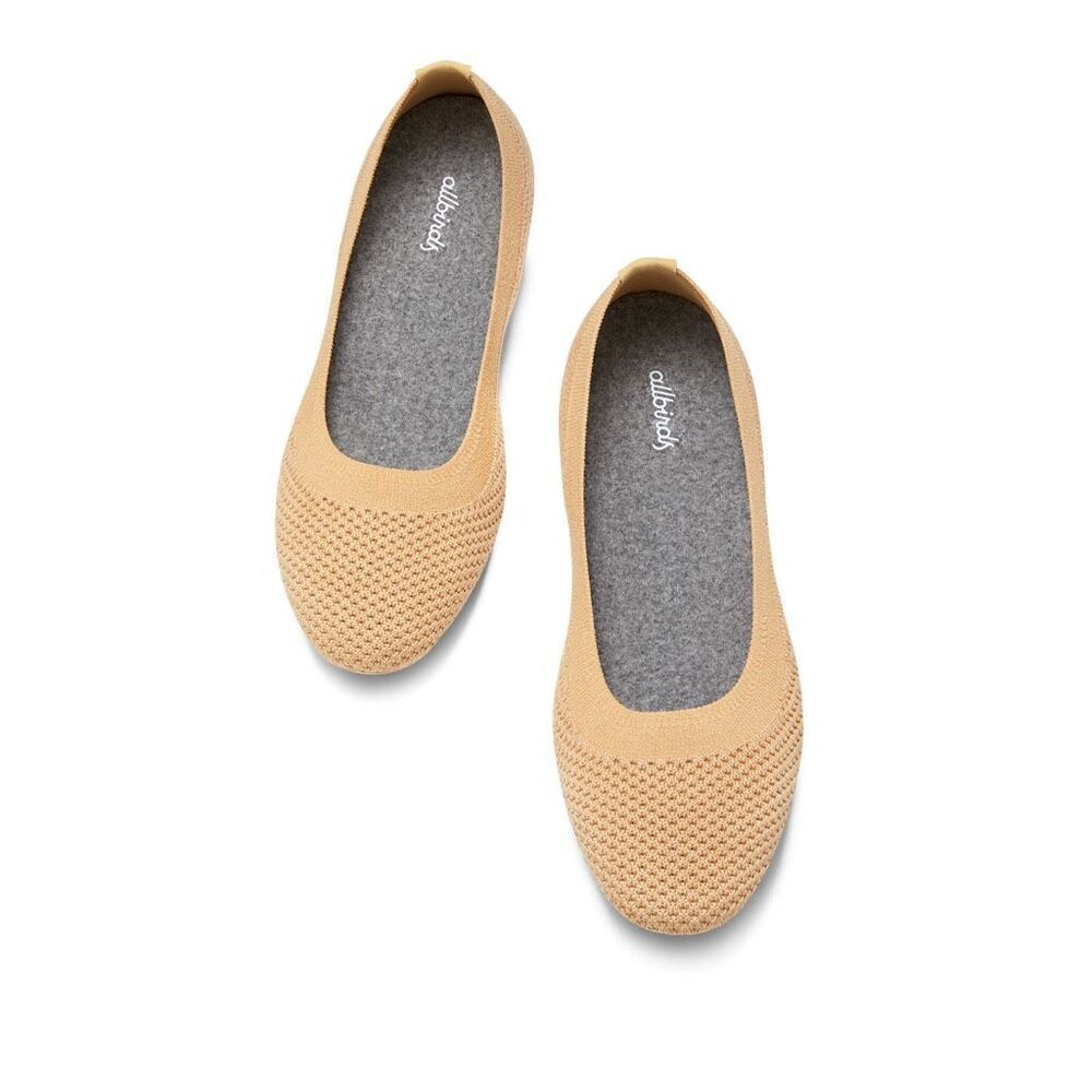 Allbirds Tree Breezer Flats in Lux Beige Size Women’s 10